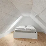 3 Bedroom Amazing In Holiday home
